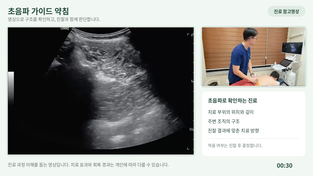 초음파 활용 진료 참고영상의 미리보기